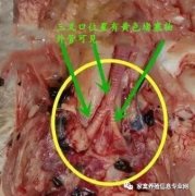 全國多地呼吸道又頻發(fā)？（雨天較多易感染）!